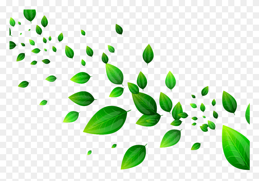 1025x693 Mq Green Leaves Garden Green Falling Border Clip Art, Leaf, Plant, Veins HD PNG Download