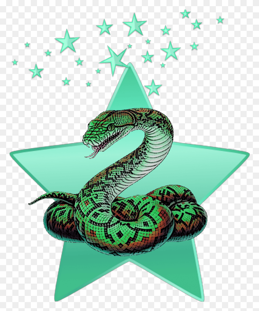 842x1025 Descargar Png Mq Serpiente Verde Estrellas Estrella Animal Python Serpiente, Reptil, Símbolo, Pájaro Hd Png