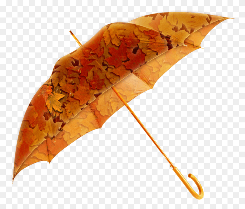 771x657 Mq Orange Leaf Leaves Autumn Umbrella Single Photo Frames For Photoshop, Plant, Canopy, Tree HD PNG Download