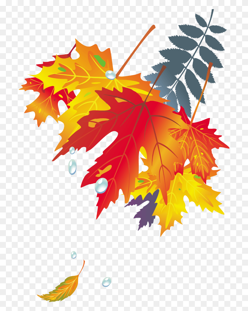 715x994 Mq Оранжевый Лист Листья Осень Векторная Графика, Растение, Дерево, Клен Hd Png Download