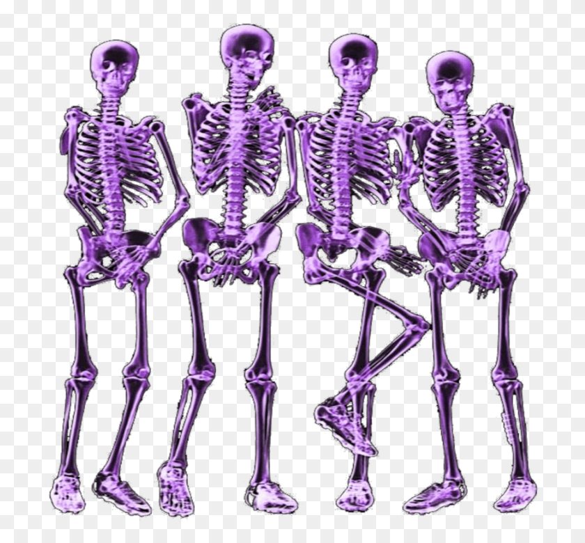 706x720 Mq Pink Skeleton Skeletons Bones Skeleton, Person, Human HD PNG Download