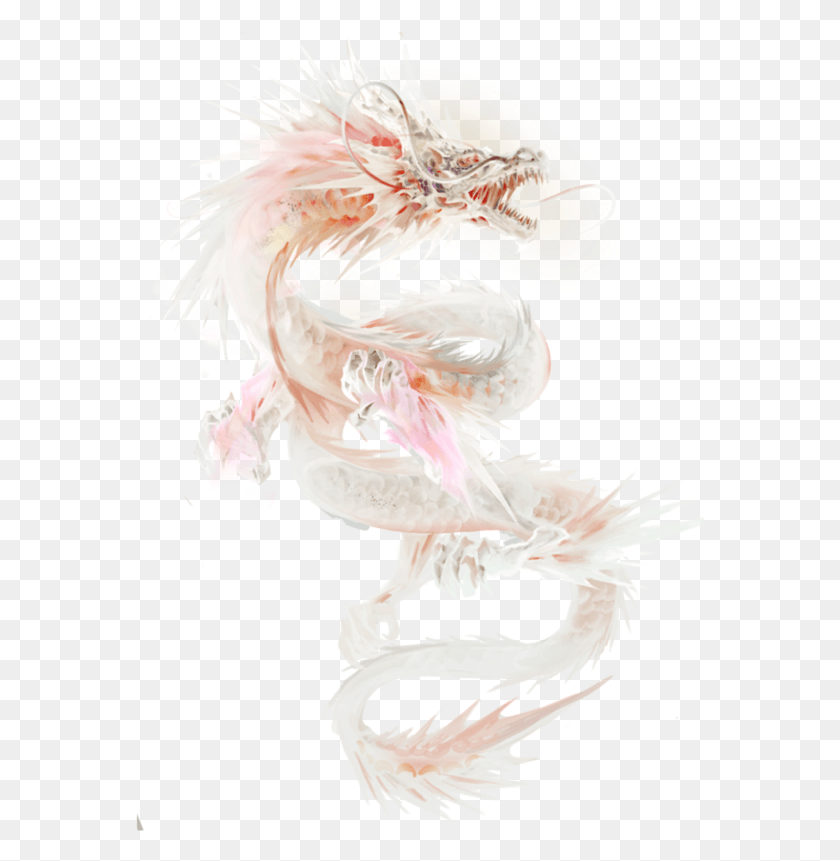 570x801 Mq White Dragon Dragons Fantasy Illustration, Bird, Animal, Chicken HD PNG Download