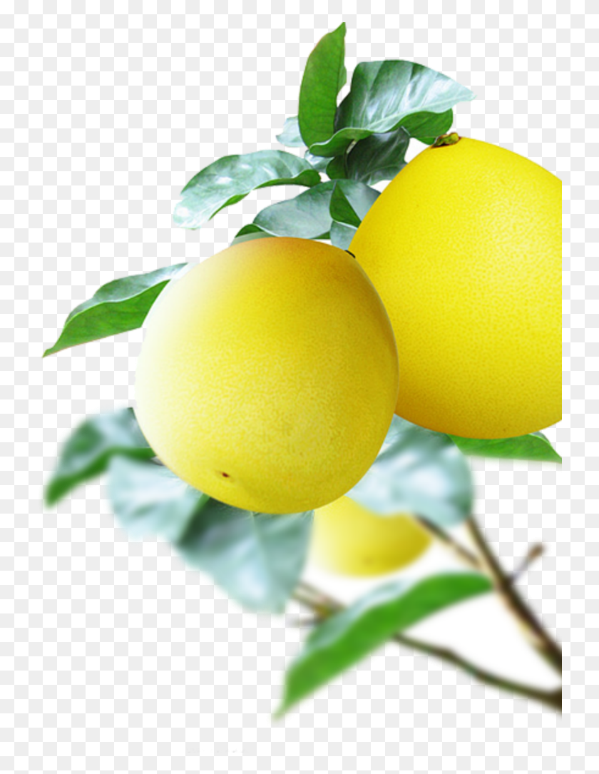 737x1025 Mq Yellow Lemon Lemons Fruit Fruits Pomelo, Citrus Fruit, Plant, Food HD PNG Download