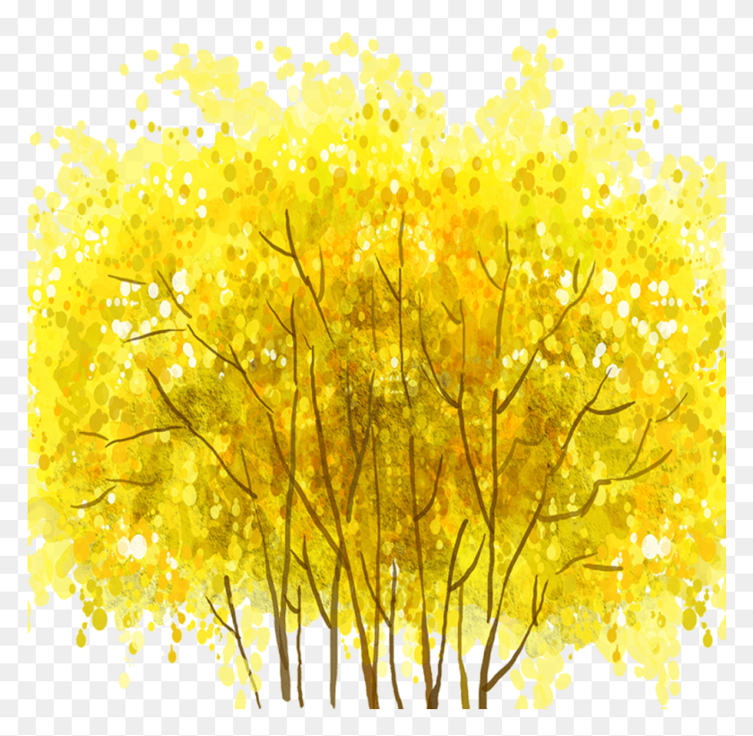 991x968 Mq Yellow Tree Autumn, Plant, Flower, Blossom Descargar Hd Png