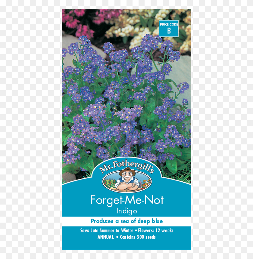 431x801 Mr Fothergill39s Forget Me Not Indigo Seeds Forget Me Not Bunnings, Plant, Person, Human HD PNG Download