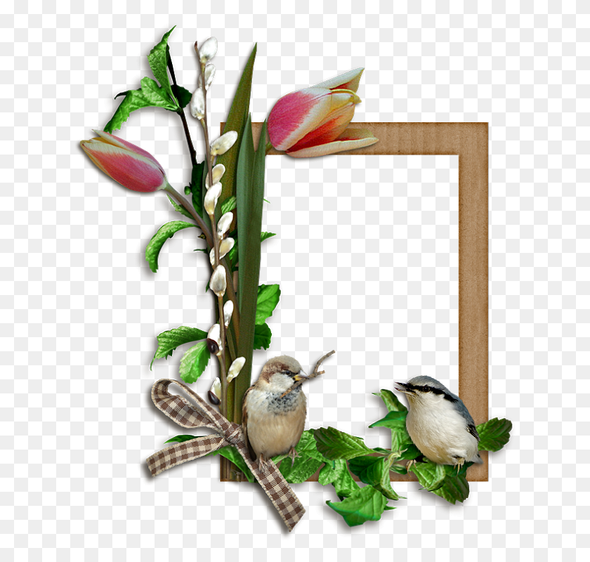 630x740 Mscara De Porta Retrato Passarinhos Nas Folhas Fo Bonne Fte Leon, Bird, Animal, Plant Hd Png
