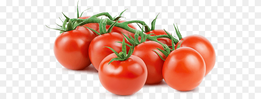 551x320 Mucci Farms Tomato, Food, Plant, Produce, Vegetable Transparent PNG