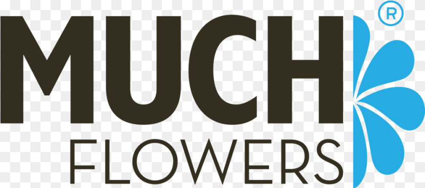 1001x442 Muchflowers Poster, Logo, Art, Graphics Clipart PNG