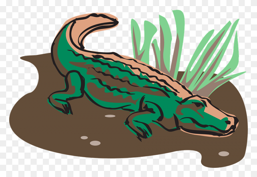 960x641 Mud Clipart Grass Cocodrilos Animados, Crocodile, Reptile, Animal HD PNG Download