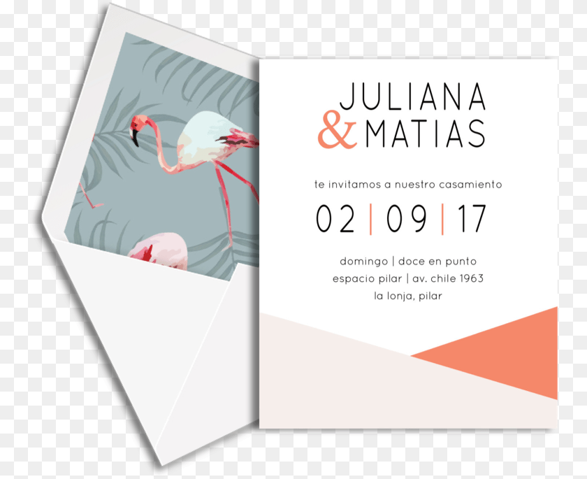 Muestra Invitation, Advertisement, Poster, Animal, Bird Transparent PNG