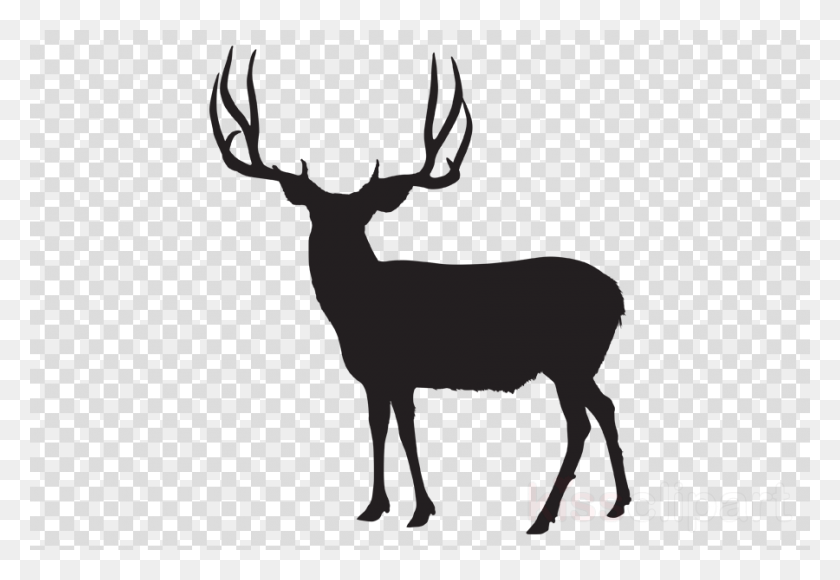 900x600 Mule Deer Silhouette Clipart White Tailed Transparent Background Green Ball, Deer, Wildlife, Mammal HD PNG Download