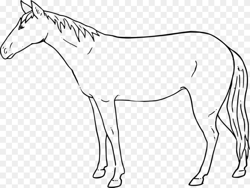 997x750 Mule Mustang Drawing Pony Painting Draw A Standing Horse Step, Gray Sticker PNG