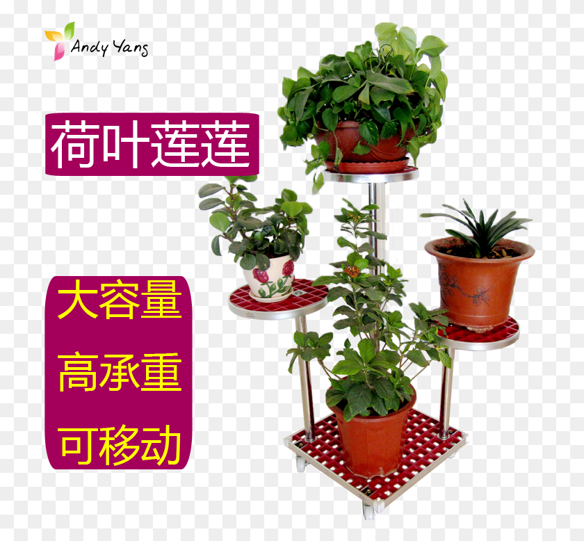 714x718 Multi Storey Movable Flower Stand Modern Minimalist Houseplant, Potted Plant, Plant, Vase Descargar Hd Png