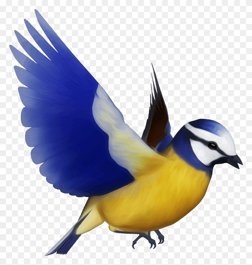 1965x2073 Multicolored Bird Free Colorful Bird Flying, Animal, Jay, Bluebird HD PNG Download