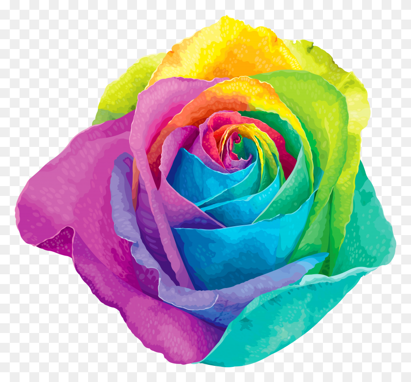 6682x6172 Multicolored Rainbow Rose Transparent Clip Art HD PNG Download