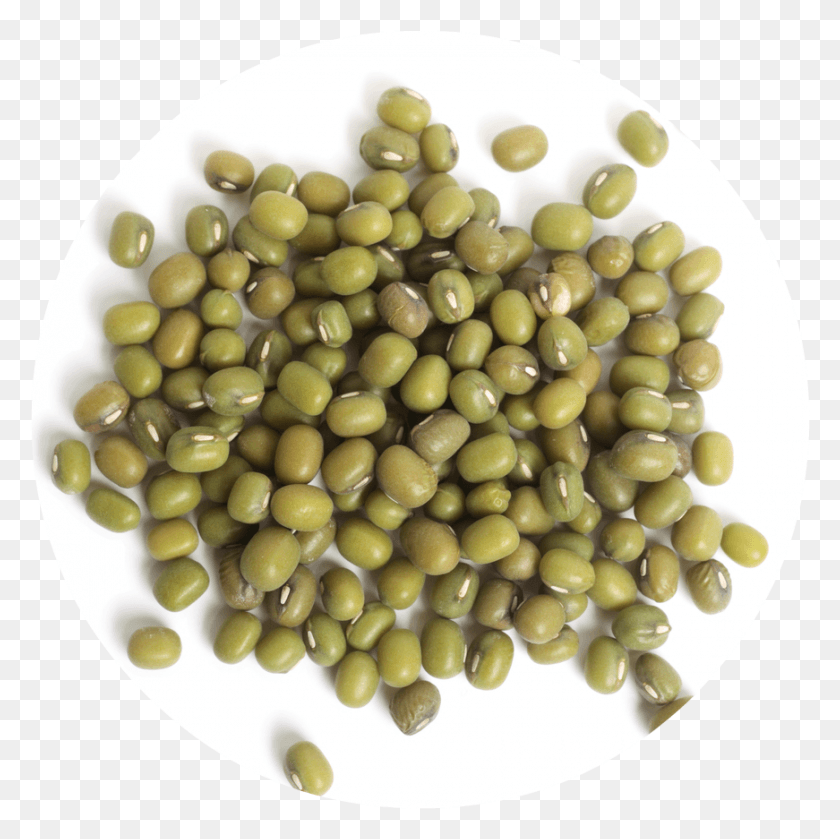 871x870 Mung Beans Health Benefits, Plant, Vegetable, Food HD PNG Download