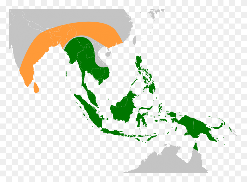 800x574 Musa Acuminata Historical Range Of Sumatran Rhino, Plot, Map, Diagram HD PNG Download