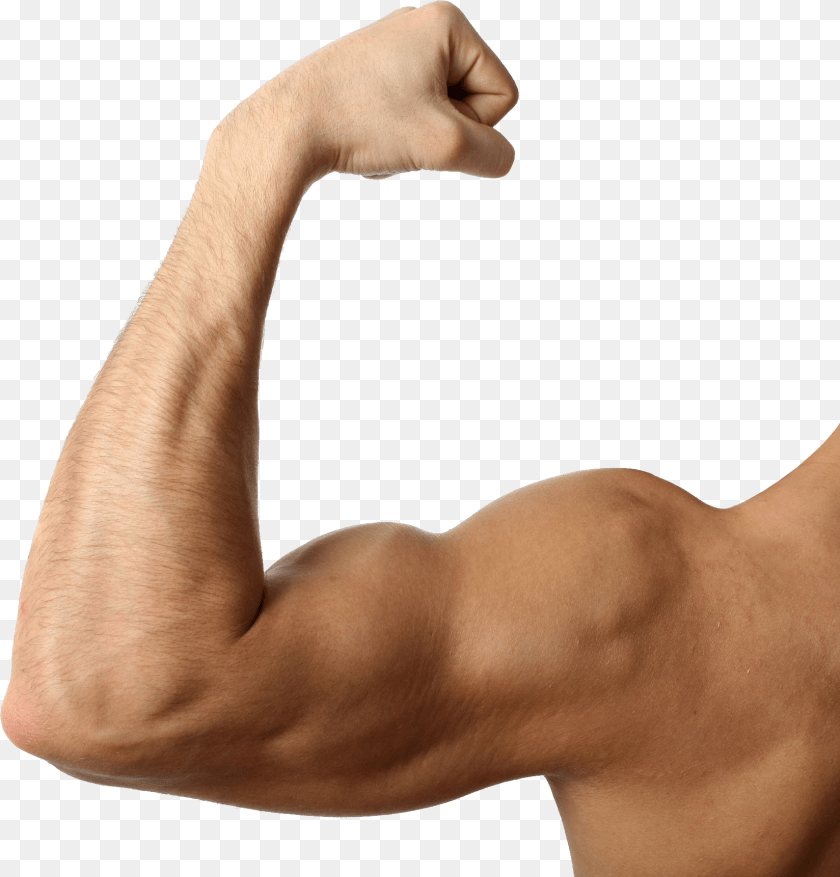 1649x1722 Muscle, Arm, Body Part, Person, Adult Transparent PNG