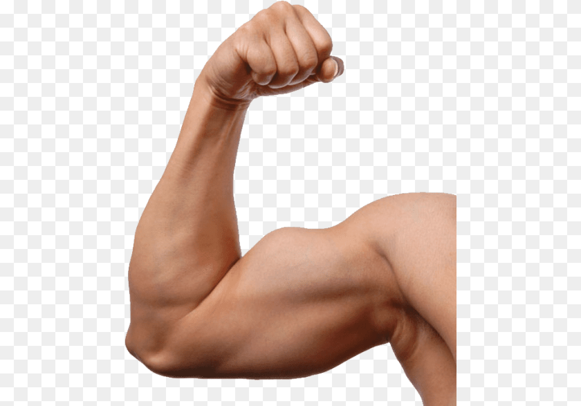 Muscle, Arm, Body Part, Person, Adult Transparent PNG