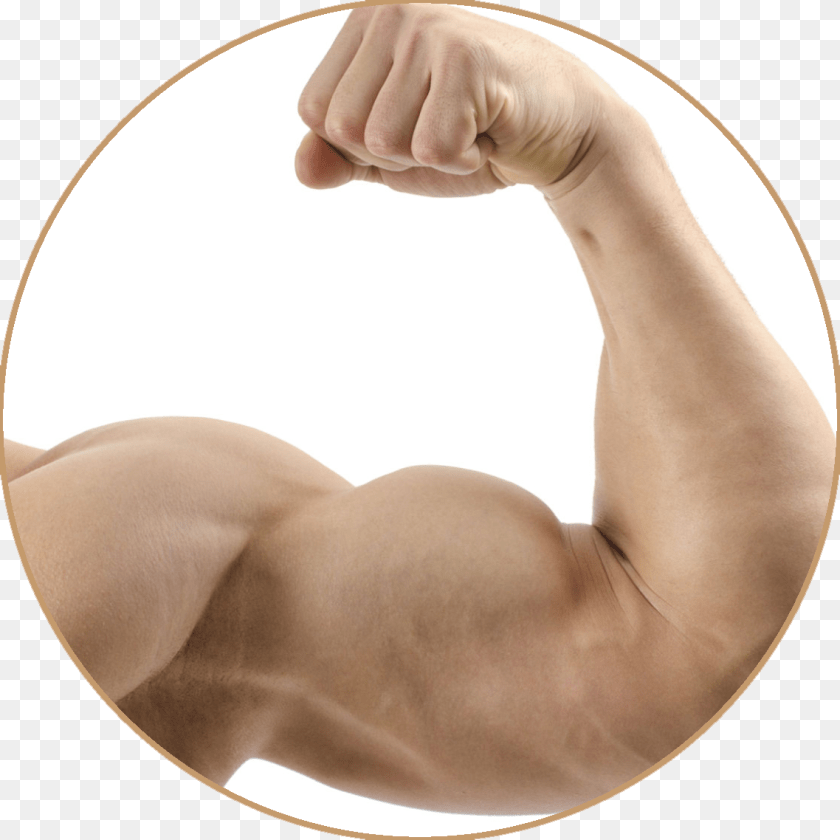 Muscle, Arm, Body Part, Finger, Hand Transparent PNG
