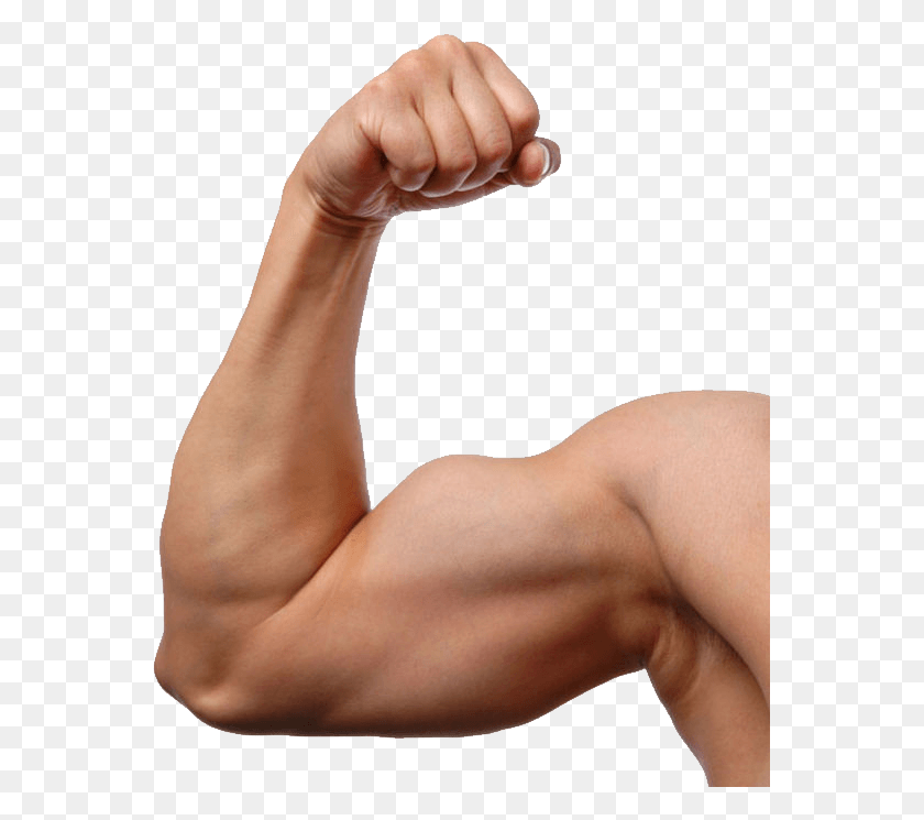 561x685 Muscle Anabolic Steroids No Background, Arm, Person, Human HD PNG Download