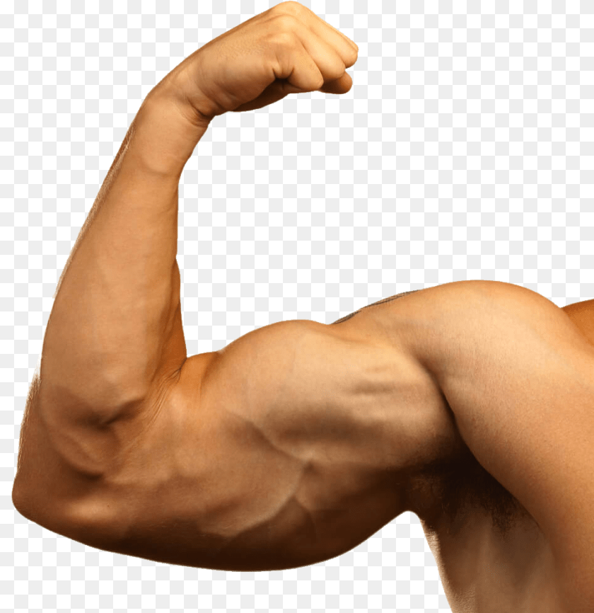 955x984 Muscle Muscular Arm, Body Part, Person, Baby, Skin Transparent PNG