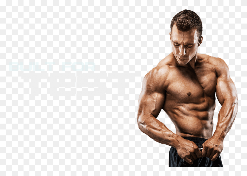 1158x799 Muscle Transparent Muscle Images Pluspng Dietary Supplement, Person, Human, Fitness HD PNG Download
