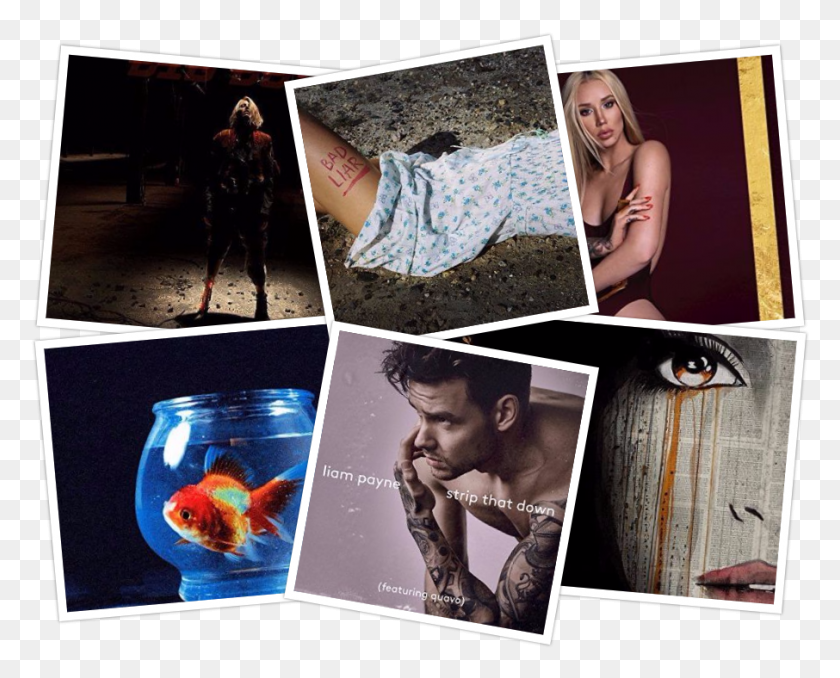 906x718 Muse Selena Gomez Vince Staples Etc Scrapbooking, Person, Human, Fish HD PNG Download