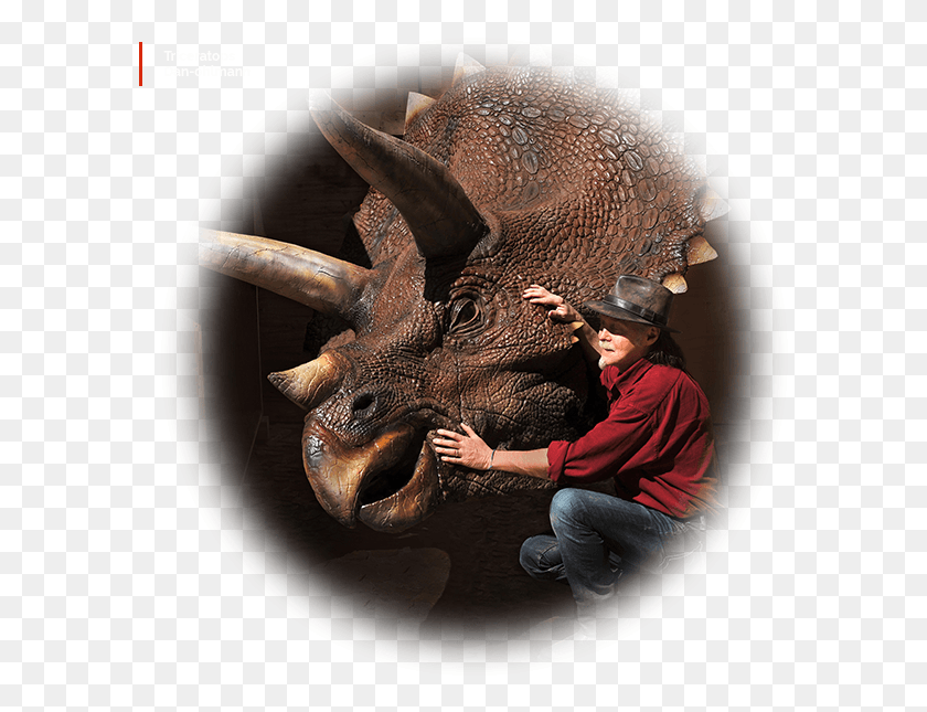 589x585 Musee Cinema Triceratops Dan Ohlmann Visual Arts, Person, Human, Dinosaur HD PNG Download