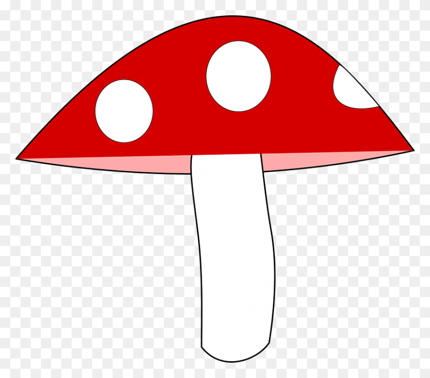 828x720 Mushroom Agaric Forest Nature Plants Red Mushroom Mushroom, Plant, Fungus, Lamp HD PNG Download