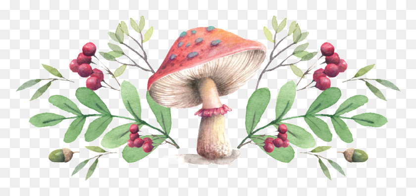 1020x441 Mushroom And Green Leaf Beautiful Hand Painted Watercolor Painting, Plant, Fungus, Agaric HD PNG Download