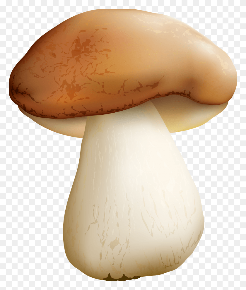 3351x4000 Mushroom Clipart Image Mushroom, Plant, Fungus, Amanita HD PNG Download