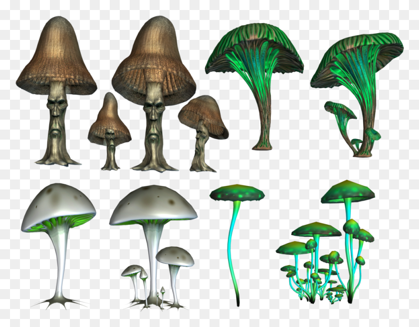 970x742 Mushroom Image Magic Mushshrooms, Plant, Agaric, Fungus HD PNG Download