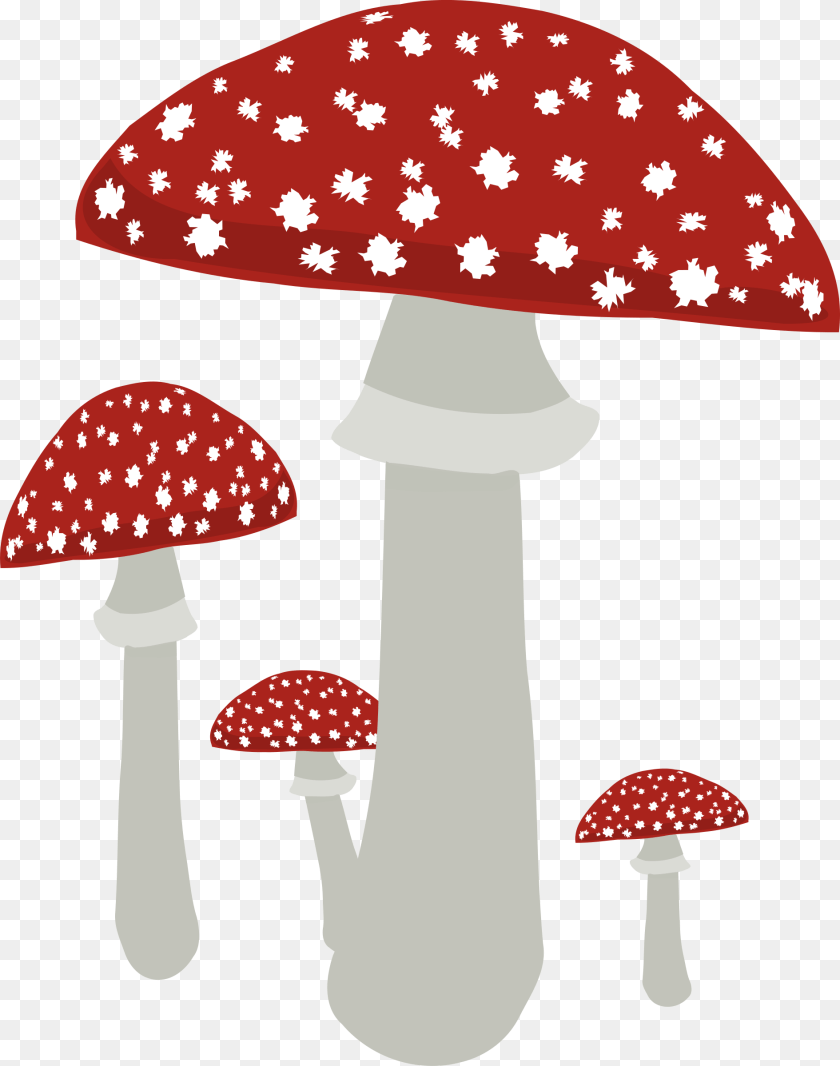 1891x2400 Mushrooms 4 Clip Arts Cute Mushrooms With Background, Agaric, Amanita, Fungus, Mushroom Transparent PNG