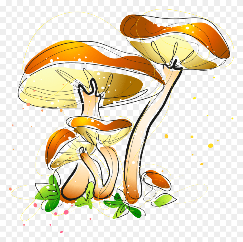 962x958 Mushrooms Drawing Watercolor Watercolor Painting, Graphics, Helmet HD PNG Download