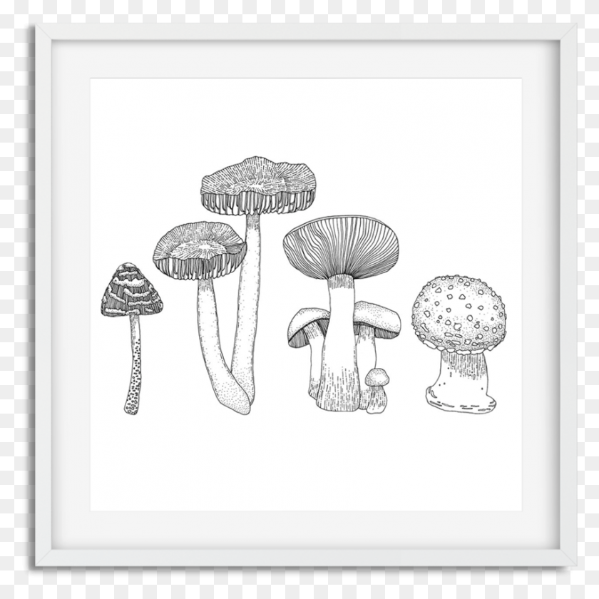849x849 Mushrooms Frame Agaric, Plant HD PNG Download