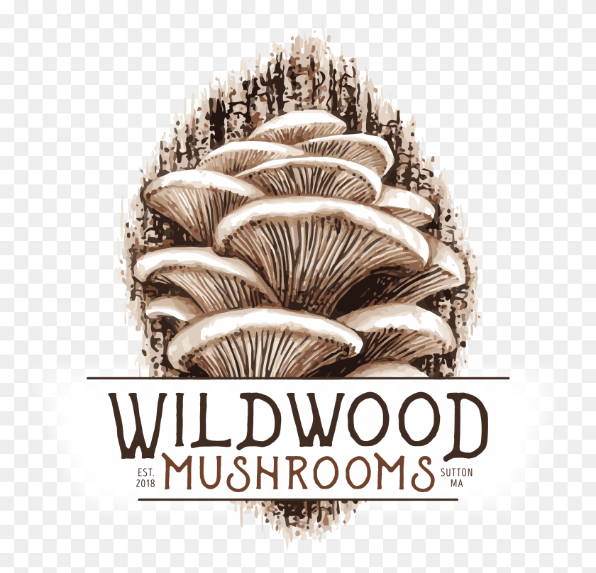 3562x3419 Mushrooms Logo Design, Plant, Fungus, Mushroom HD PNG Download