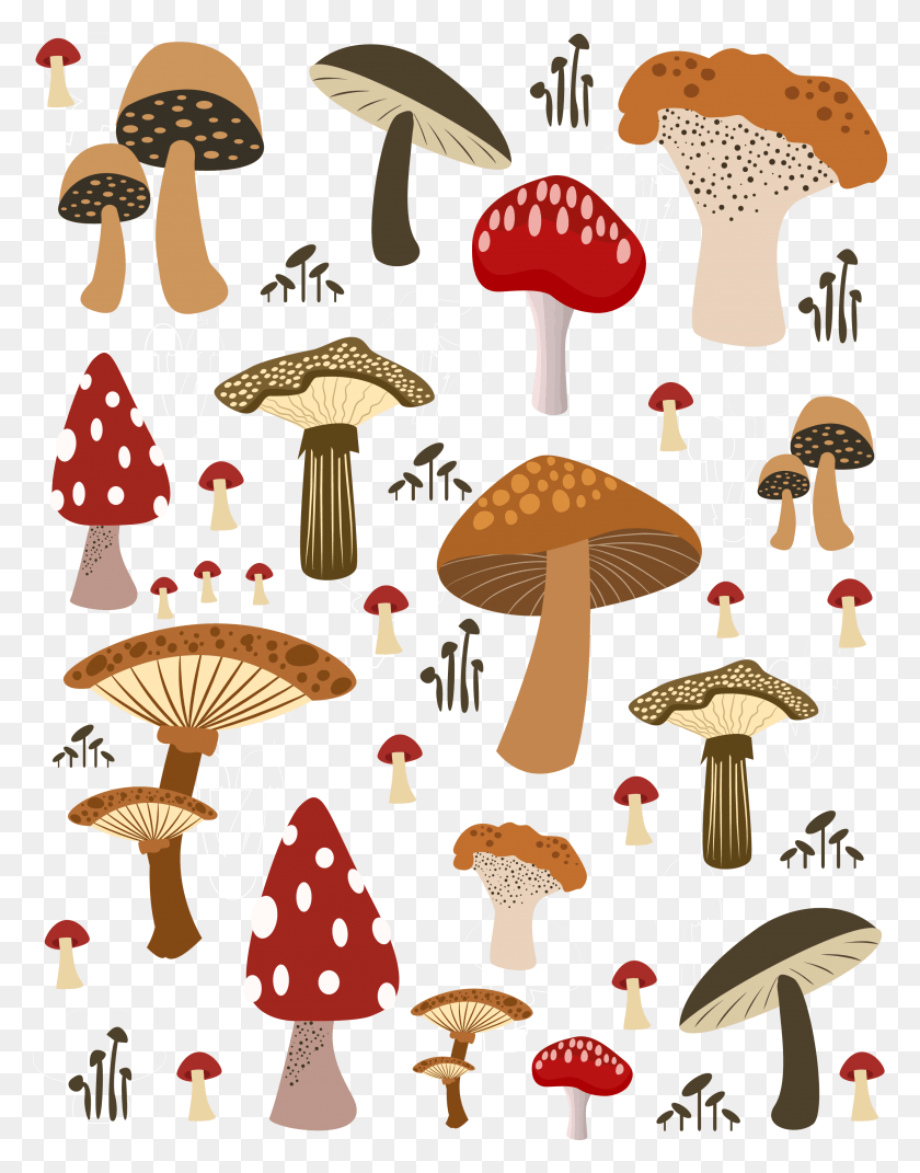 2626x3407 Mushrooms Vector Button Mushroom Mushroom Illustration, Architecture, Building HD PNG Download