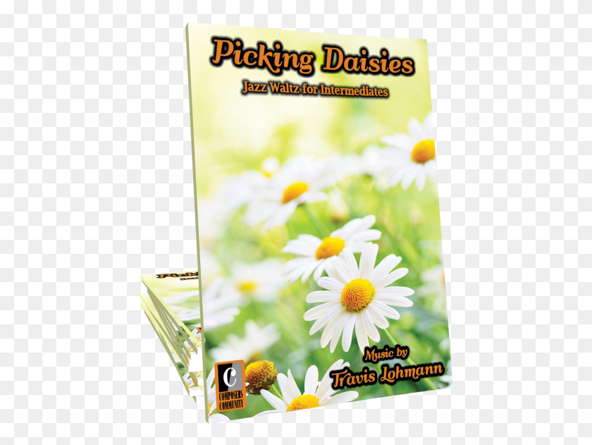 446x571 Descargar Png Música De Travis Lohmann Piano Pronto Publishing, Planta, Publicidad, Cartel Hd Png