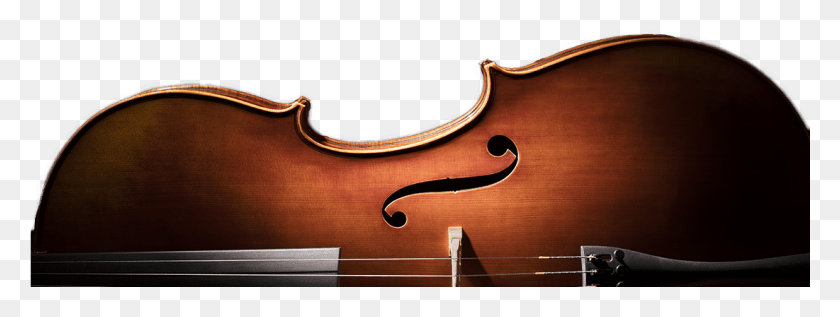 1101x364 Musical Instruments In Batavia Chicago Elgin Naperville Double Bass, Musical Instrument, Leisure Activities, Cello HD PNG Download