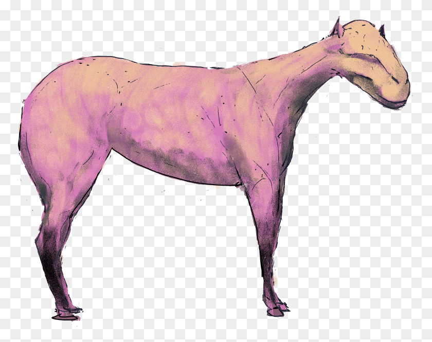 3927x3050 Caballo Png / Caballo Png