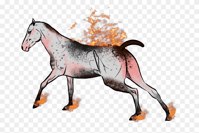 663x504 Caballo Png / Caballo Png