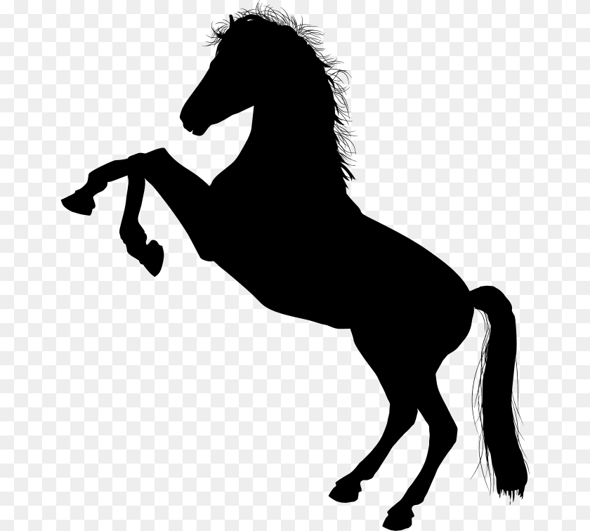 669x756 Mustang Horse, Gray Clipart PNG