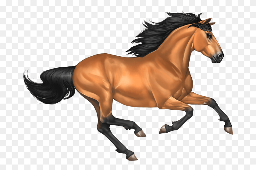694x498 Mustang Horse Image Transparent Background Horse Clipart, Colt Horse, Mammal, Animal HD PNG Download