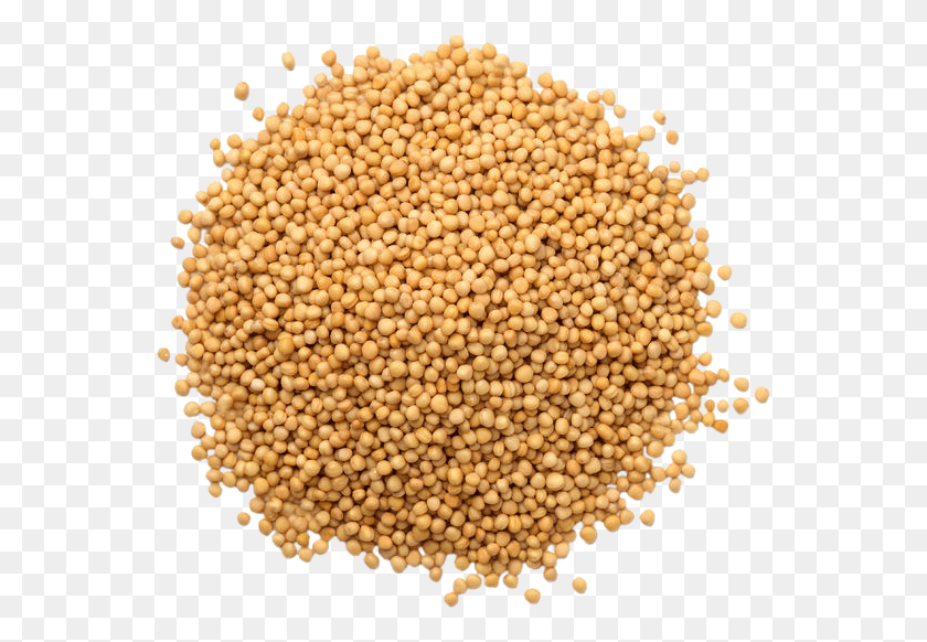557x522 Mustard Seeds Without Bag Alfalfa Sprouts Seeds, Rug, Food, Plant HD PNG Download