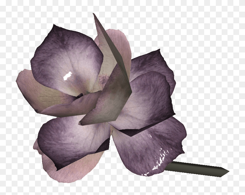 737x609 Descargar Pngflor De Helecho Mutado Fallout 4 Helecho Mutado, Planta, Flor, Geranio Hd Png