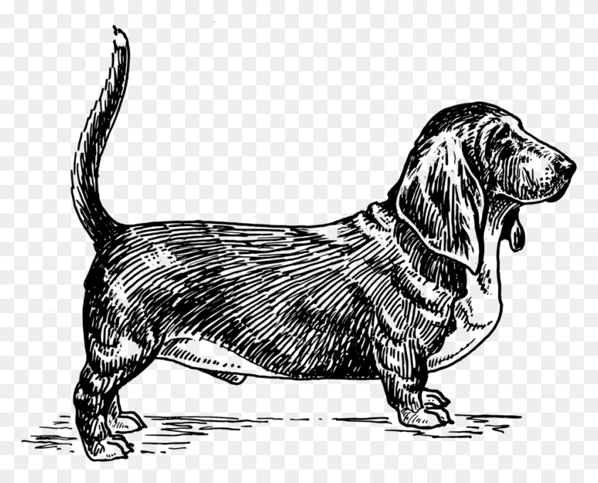 944x750 Mutts In Suds Dog Grooming Service Dalkey Drawing Basset Hound Silhouette Vector, Gray, World Of Warcraft HD PNG Download