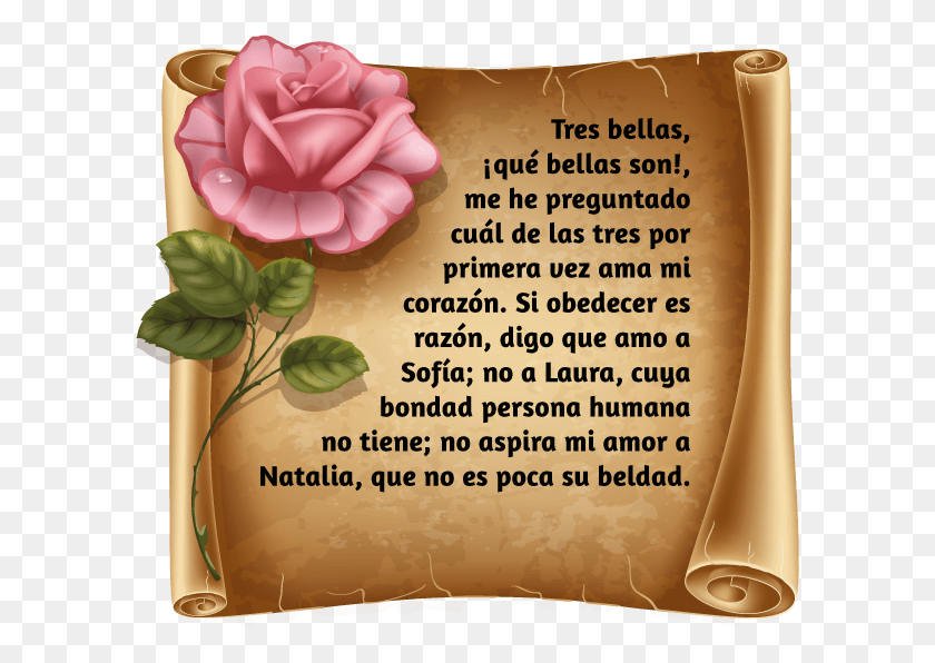 597x536 Muy Astuta Y As Podrs Comprender Lo Que Realmente Background Brown Scroll Paper, Rose, Flower, Plant Hd Png Download