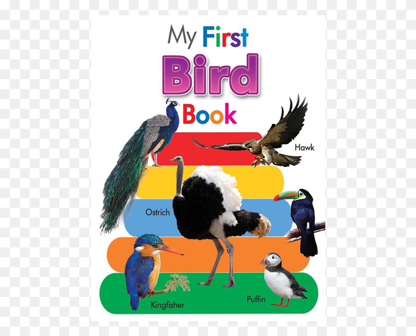 474x619 My Board Book Of Birds Turkey, Bird, Animal, Ostrich HD PNG Download