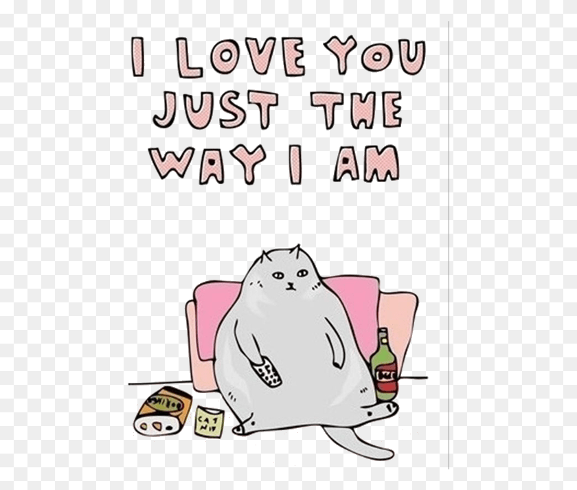 469x653 My Edit Cats Transparent Fat Cat Source Needed Happy Funny Valentines Day Quotes, Beverage, Drink, Alcohol HD PNG Download
